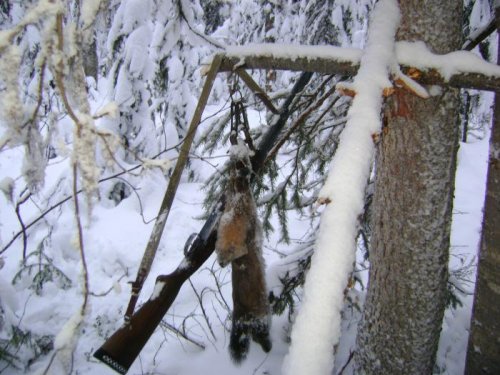 Поймался