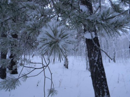 Первая охота в 2012г.