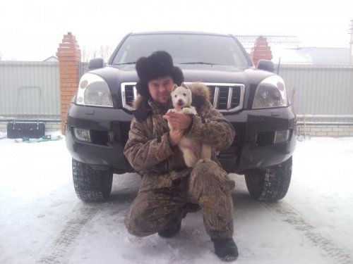 мой песик