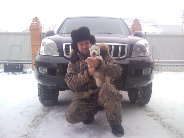 мой песик