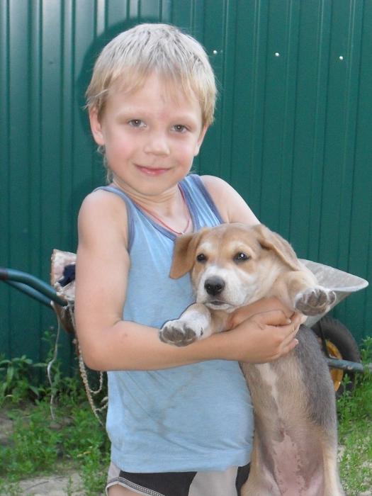 ромкин щеночек!