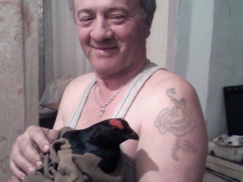 сам прибежал 