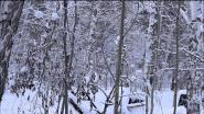 Открытие охоты 2012г (фотоохота)