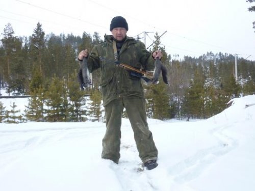 ДВЕ В РУКИ (ЗАКОН)