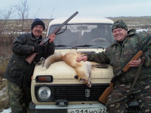 ЛИСИЧКА