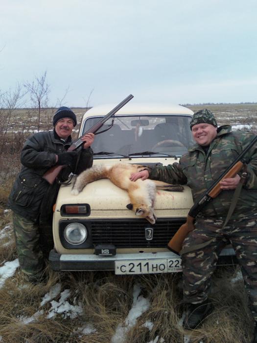 ЛИСИЧКА
