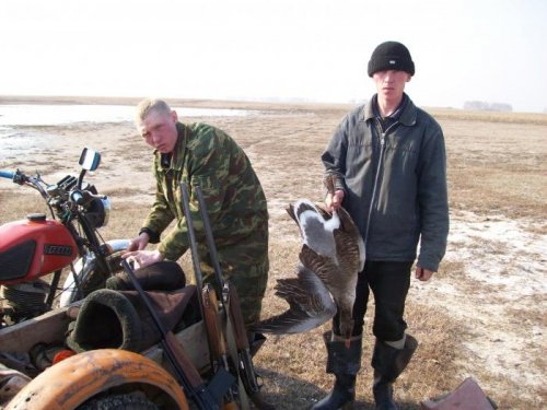 ГУСЬ.