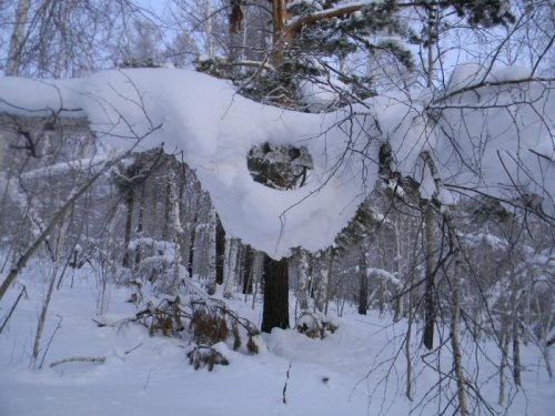 Глазок