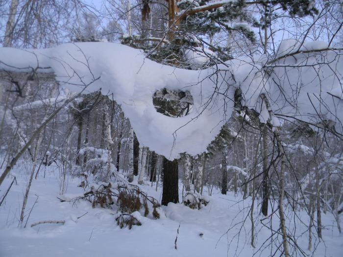 Глазок