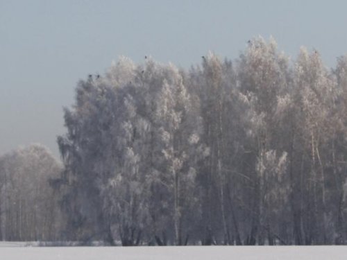 Сидят родные!