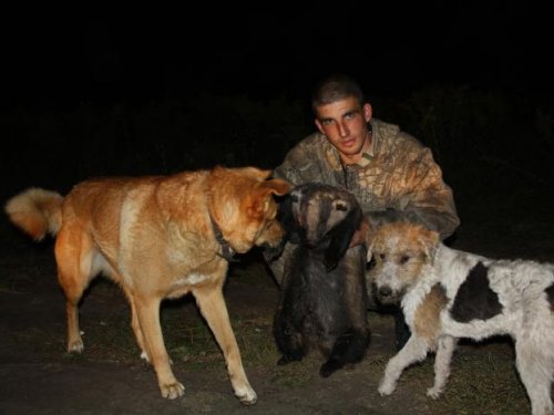 Первый барсук Боя!