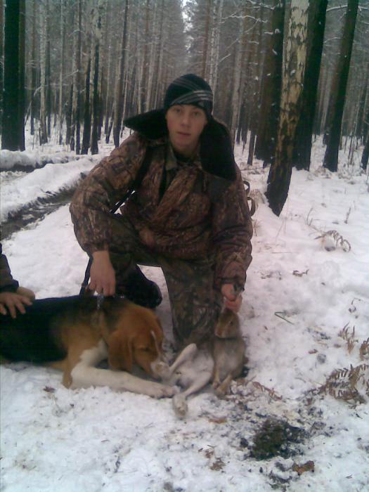 первый снег 2011