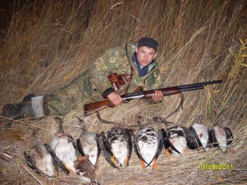 гусики.