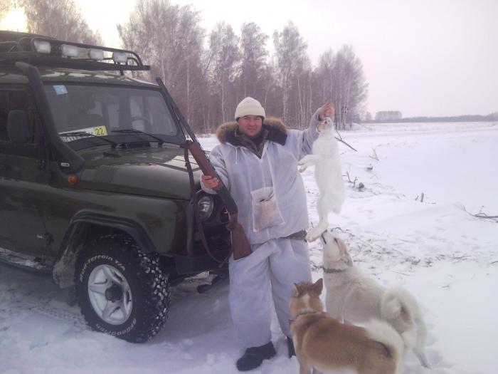 зайчик