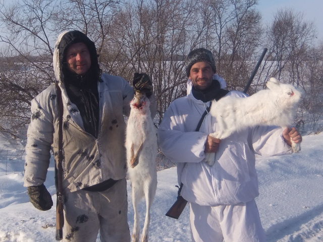 грф