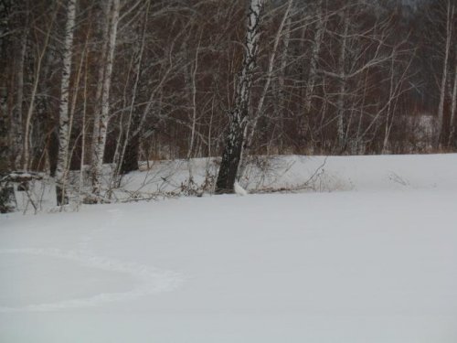 На первом круге