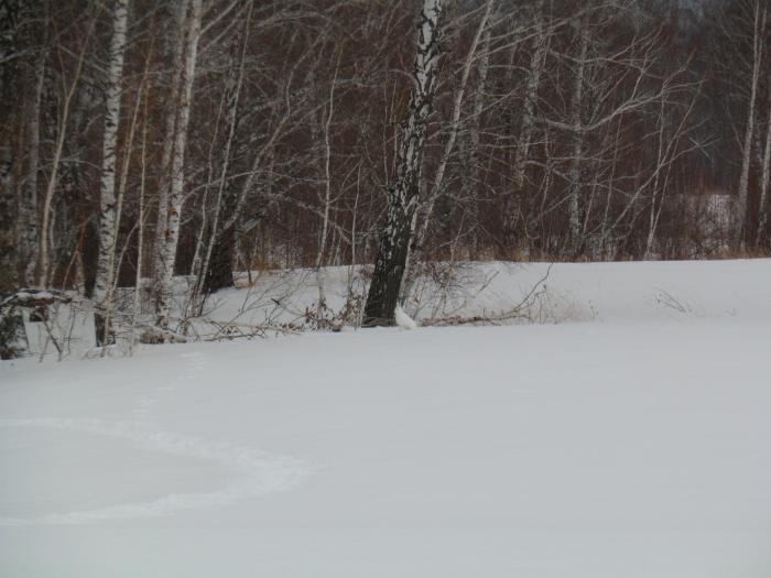 На первом круге