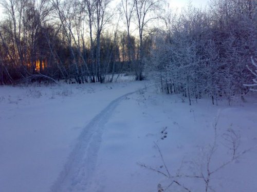 Красива природа зимой,.... еще бы дичь водилась!!!
