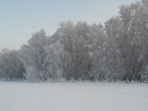 Морозно!