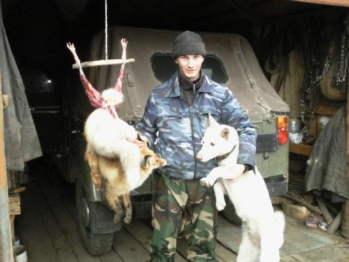 Первая Белкина  лиса 2010 г
