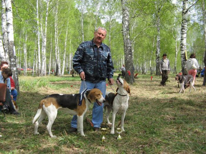 Добыч с вл Жилиным В.Г.