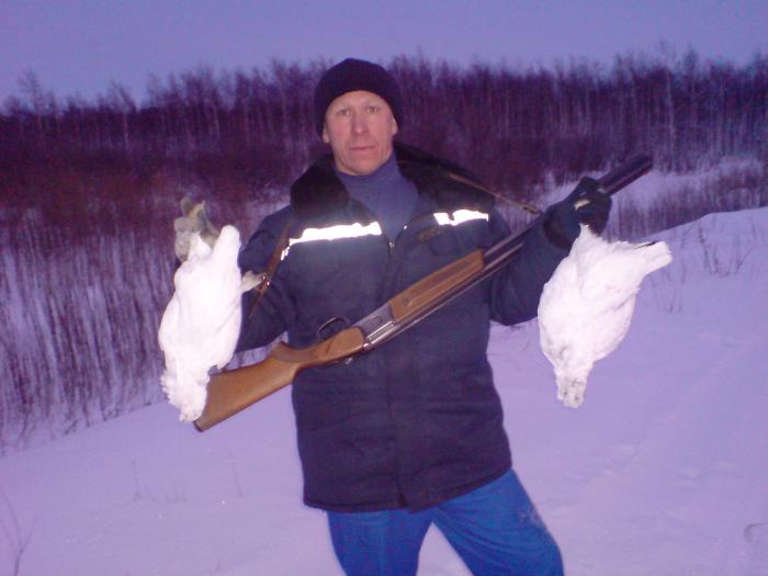 Белые куропатки,