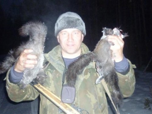 заготовка пушнины
