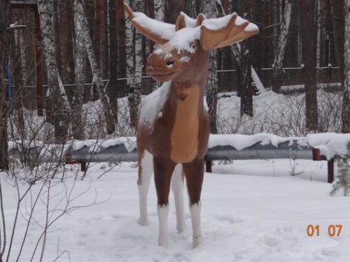 Лось?