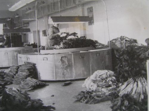 На Иркутской П-М.базе 01.1981г.Сотировка пушнины.