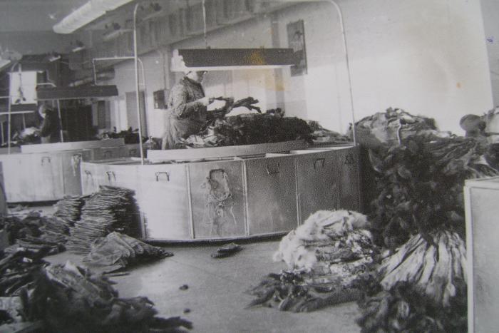 На Иркутской П-М.базе 01.1981г.Сотировка пушнины.