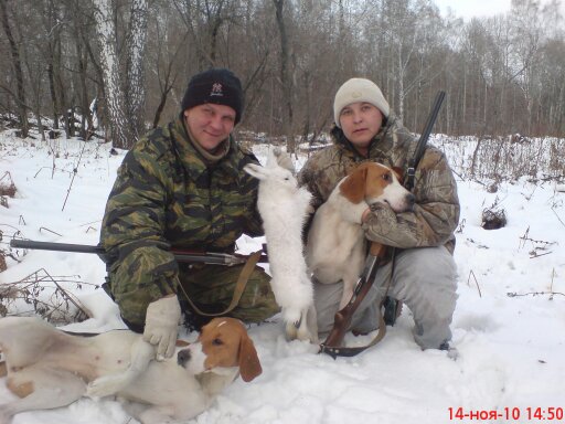 Мы с собаками