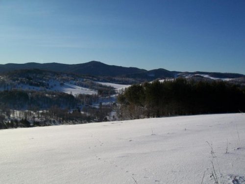 Чарышский район