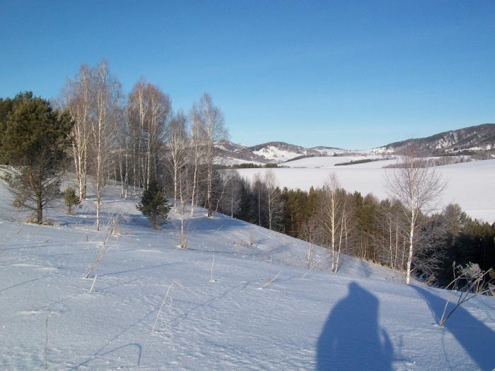 Чарышский район