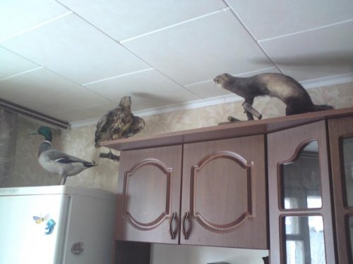 трофейчики