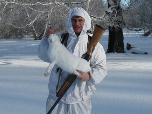 Ещё один заяц.