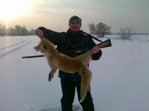 под собаки с норы.