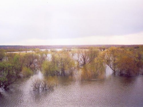 Разлив р. Иня.