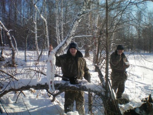 первый заяц в этом сезоне