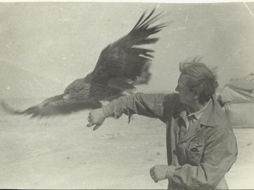 отряд Сергеевский 1979 Ю.Казахстан.