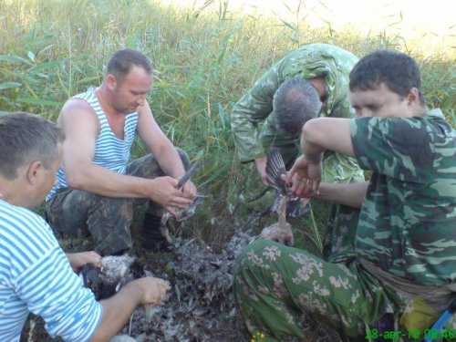 После утренней зорьки
