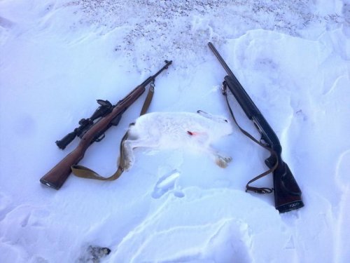 4 часа погони !!!!!!!!!!!!