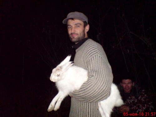 Зайка