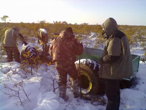 Дождался," дружок".