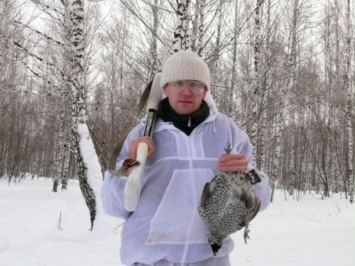 пышный рябчик