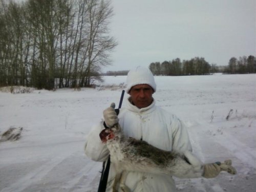 кабанчик