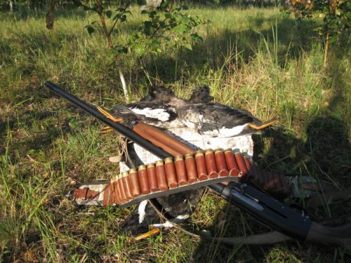 натюрморт