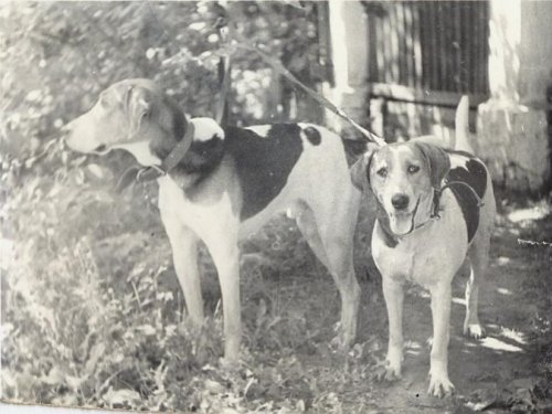 Июль 1976г.