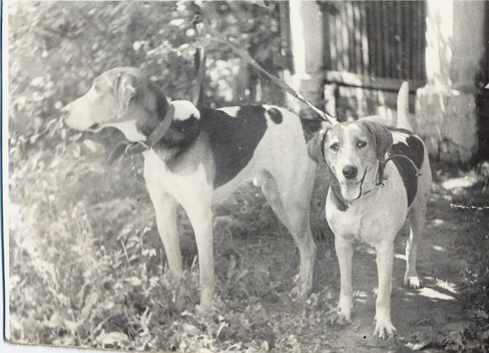 Июль 1976г.