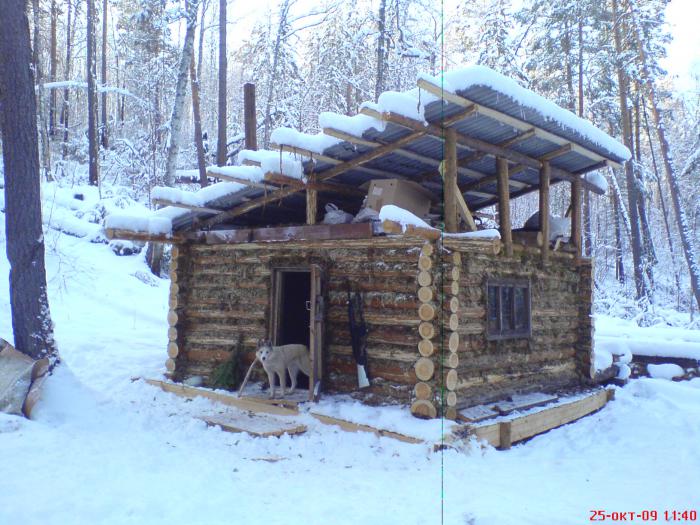 первая зимовка
