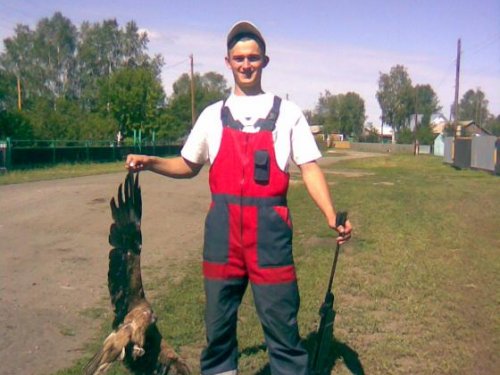Низко летел